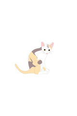 Doodle of calico cat looking curiously  on white background  in flat minimal style 