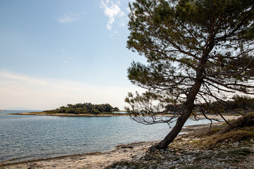 Fototapeta na wymiar Beautiful landscape on the Adriatic Sea. Sunny April day. Istria peninsula Pula Croatia