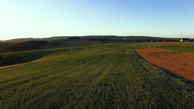 Flying over a field with a Drone. Wheat field and grass from the air with a drone shot