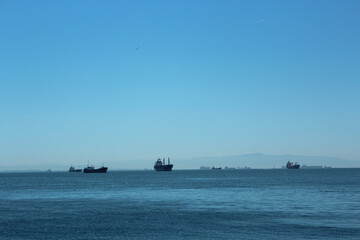 Istanbul Islands, island landscapes, seagulls, cargo ships and sailboats in the sea, black-winged seagulls soaring from the sky, Adalar Istanbul Turkey