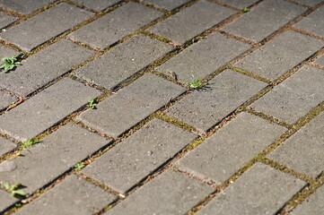 tiles on the pavement. background