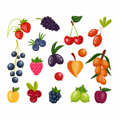 Berry icons. Cartoon fruits of plant. Blueberry and raspberry. Cherry with leaf. Wild strawberry and cranberry. Sweet raspberry or physalis. Natural food set. Vector healthy logo design