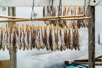 Salted fish drying in a fishing village in Hong Kong. This is the traditional way fishermen store...