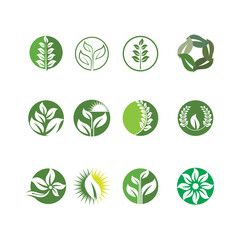 Logos of green Tree leaf ecology nature element vector