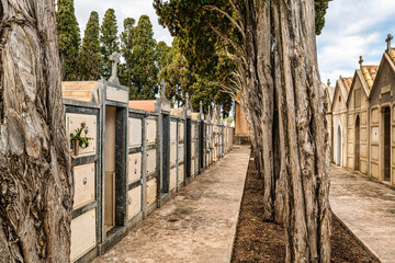 Familiengrabstätten inmitten von Pinien auf einem Friedhof auf Spaniens Insel Mallorca © Blende8