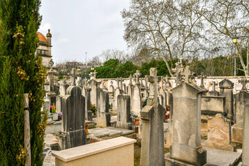 Blick über viele Grabsteine
eines Friedhofes auf Spaniens Insel Mallorca