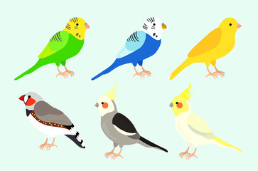 Obraz na płótnie Canvas Bird Cockatiel Canary Finch Parakeet Illustration Drawing Vector Graphic Cartoon Set Collection