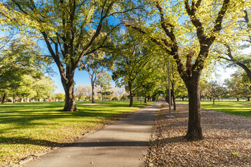 Darling Gardens in Clifton Hill Melbourne Australia