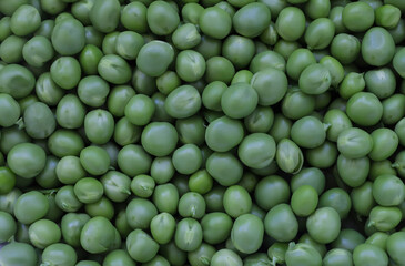 Green Peas. Green background. Green pea top view copy space. Fresh organic green peas. Vegetable harvesting.Beautiful close up of fresh peas and pea pods. Healthy vegetarian food