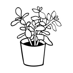 Houseplant in a doodle bowl. The vector image is highlighted on a white background. For the design and decoration of the room. Senecio rowleyanus