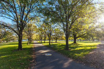 Darling Gardens in Clifton Hill Melbourne Australia