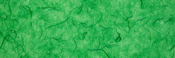 background of green backlit, handmade, mulberry paper with fiber inclusions, panoramic web banner