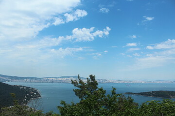 Istanbul Adalar, island landscapes, seagulls, black-winged seagulls soaring from the sky, crow on the tree, seagulls, passenger ferry, sunset Adalar Istanbul Turkey