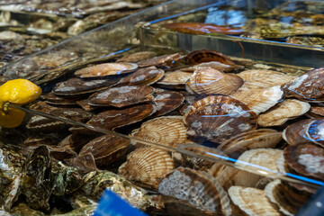 Fresh Fish at Seafood Market, Traditional Fish in Market. Fresh Sea Fish in on Showcase of Seafood Street Market.