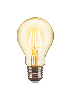 LED filament tungsten vintage light bulb, isolated on white background