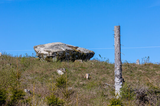 Boulder sitting on grass ridge in lumbered area. One tree stump in foreground. No visible people and blue sky background