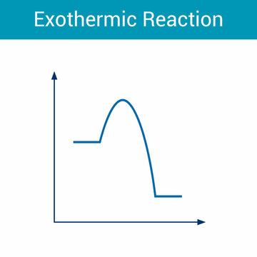 Exothermic reactions graphs diagram in chemistry vector illustration on white background