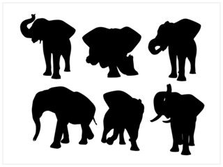 Vector black illustration of a elephant