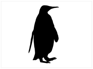 Cute penguin, vector childish illustration in flat style Pro Vector
