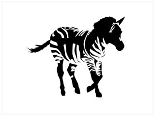 Zebra vector image