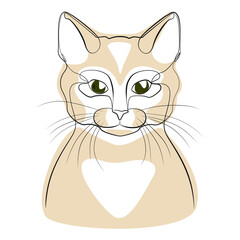 Cat one line drawing on white isolated background 