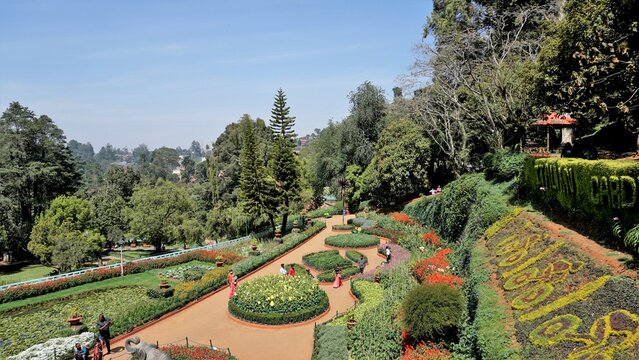 Beautiful Government botanical gardens in Ooty, Tamilnadu, India.