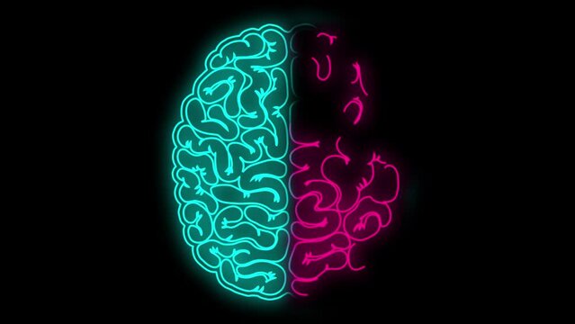 Human Brain with Two Different Parts Animation. Pink Blue Glowing Complicated Brain. Creativity and Thinking, Metaphor and Neuro Psychology Concept	
