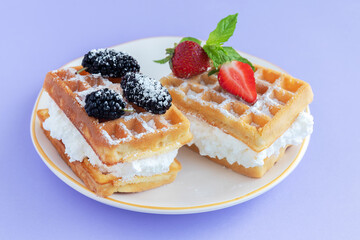 Delicious belgian waffles with whipped cream, mulberries and strawberries and mint leaves. Two waffle sandwiches on a plate on lilac background. Close-up, selective focus.