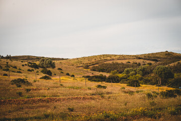 Obraz premium Wilde Hügellandschaft im Hinterland