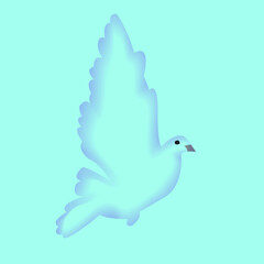 pigeon