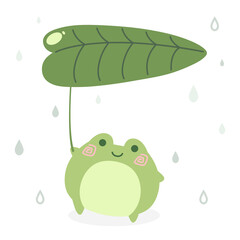 Cartoon cute green frog holding leaf of a water lily like an umbrella