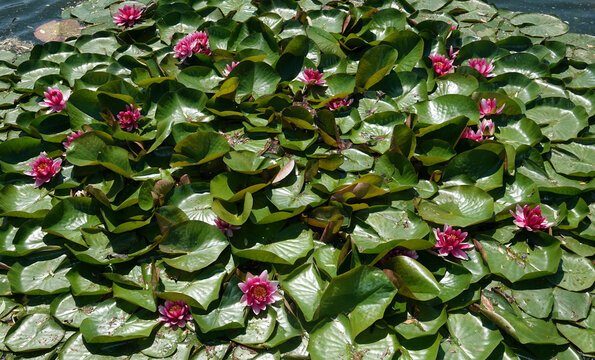 Tetraedrisch Bilder – Durchsuchen 680 Archivfotos, Vektorgrafiken und ...