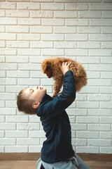A boy of 6-7 years old holds a fluffy brown poodle puppy in his hands, lifting it up against the...