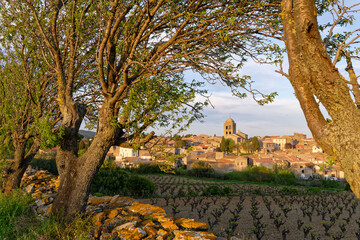 Clocher et amandiers