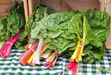 bunches of chard