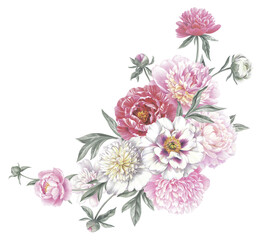 Colored pencil bouquet of peonies. Isolated on white background. Floral vintage arrangement. Hand drawn botanical illustration for greeting cards, wedding invitation cards and summer backgrounds. 
