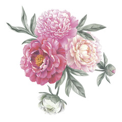 Colored pencil bouquet of peonies. Isolated on white background. Floral vintage arrangement. Hand drawn botanical illustration for greeting cards, wedding invitation cards and summer backgrounds. 