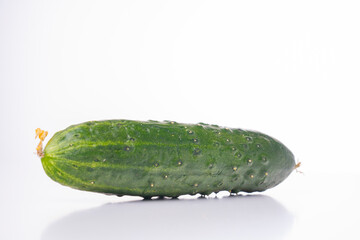 fresh green cucumber with pimples on a white background, the concept of healthy food and non-gmo products, selective focusing, macro photos from different angles, reflection on white
