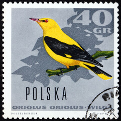 Postage stamp Poland 1966 Eurasian Golden Oriole, a Passerine Bird