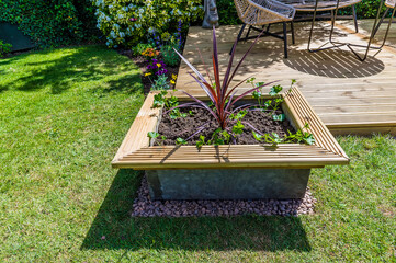 A planter in front of decking in a garden in Market Harborough, UK in early summer