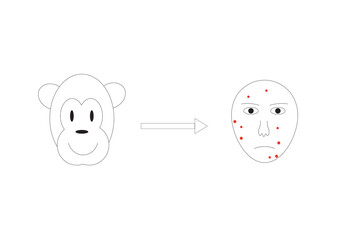Virus transmition from monkey to human