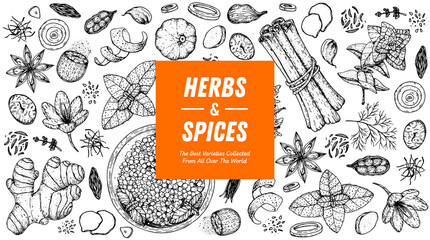 Herbs and spices hand drawn vector illustration. Aromatic plants. Hand drawn food sketch. Vintage illustration. Card design. Sketch style. Spice and herbs black and white design. - obrazy, fototapety, plakaty