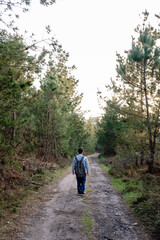 Back view of a man walking on a path through the forest