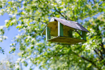 Bird feeder hanging on apple tree. Branch of apple tree with bird house. Nest box in public park for bird feed.