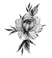 Black and white peony ink tattoo illustration
