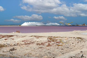 Pink salt evaporating pond with salt piles in background, Bonaire