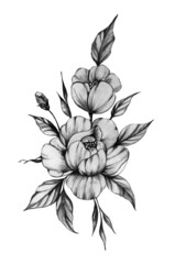 Black and white peonies ink illustration