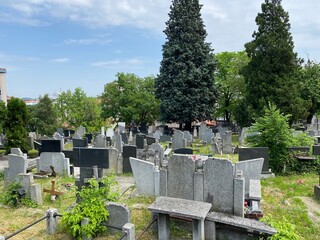 Old cemetery on the Karadjordje Hill / Smederevsko Staro groblje na Karađorđevom brdu ili Staro groblje u Smederevu, Smederevo - Serbia (Srbija)