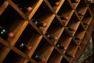 Bottles of wine in the vinotheque