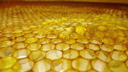 Stream of golden thick honey flowing down on the honeycombs. Natural organic honey, molasses, syrup or nectar fill the cells. Honey is spilled on honeycombs close up. Beekeeping product, healthy food.